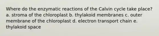 Where do the enzymatic reactions of the Calvin cycle take place? a. stroma of the chloroplast b. thylakoid membranes c. outer membrane of the chloroplast d. electron transport chain e. thylakoid space