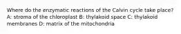 Where do the enzymatic reactions of the Calvin cycle take place? A: stroma of the chloroplast B: thylakoid space C: thylakoid membranes D: matrix of the mitochondria