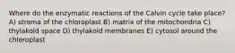 Where do the enzymatic reactions of the Calvin cycle take place? A) stroma of the chloroplast B) matrix of the mitochondria C) thylakoid space D) thylakoid membranes E) cytosol around the chloroplast