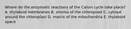 Where do the enzymatic reactions of the Calvin cycle take place? A. thylakoid membranes B. stroma of the chloroplast C. cytosol around the chloroplast D. matrix of the mitochondria E. thylakoid space