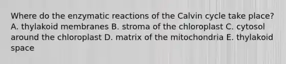 Where do the enzymatic reactions of the Calvin cycle take place? A. thylakoid membranes B. stroma of the chloroplast C. cytosol around the chloroplast D. matrix of the mitochondria E. thylakoid space