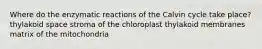 Where do the enzymatic reactions of the Calvin cycle take place? thylakoid space stroma of the chloroplast thylakoid membranes matrix of the mitochondria