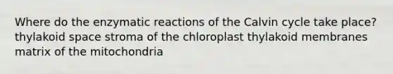 Where do the enzymatic reactions of the Calvin cycle take place? thylakoid space stroma of the chloroplast thylakoid membranes matrix of the mitochondria