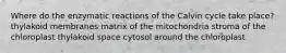 Where do the enzymatic reactions of the Calvin cycle take place? thylakoid membranes matrix of the mitochondria stroma of the chloroplast thylakoid space cytosol around the chloroplast