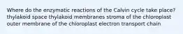 Where do the enzymatic reactions of the Calvin cycle take place? thylakoid space thylakoid membranes stroma of the chloroplast outer membrane of the chloroplast electron transport chain