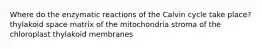 Where do the enzymatic reactions of the Calvin cycle take place? thylakoid space matrix of the mitochondria stroma of the chloroplast thylakoid membranes