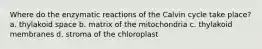 Where do the enzymatic reactions of the Calvin cycle take place? a. thylakoid space b. matrix of the mitochondria c. thylakoid membranes d. stroma of the chloroplast