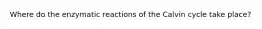 Where do the enzymatic reactions of the Calvin cycle take place?