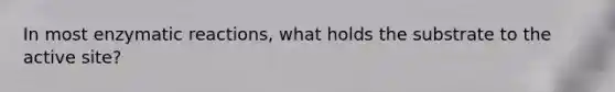 In most enzymatic reactions, what holds the substrate to the active site?