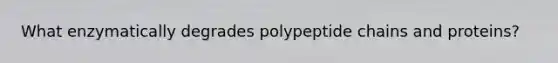 What enzymatically degrades polypeptide chains and proteins?