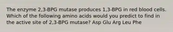 The enzyme 2,3-BPG mutase produces 1,3-BPG in red blood cells. Which of the following amino acids would you predict to find in the active site of 2,3-BPG mutase? Asp Glu Arg Leu Phe