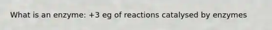 What is an enzyme: +3 eg of reactions catalysed by enzymes