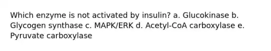 Which enzyme is not activated by insulin? a. Glucokinase b. Glycogen synthase c. MAPK/ERK d. Acetyl-CoA carboxylase e. Pyruvate carboxylase