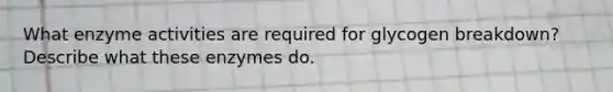 What enzyme activities are required for glycogen breakdown? Describe what these enzymes do.