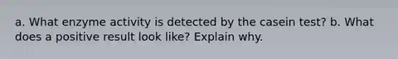 a. What enzyme activity is detected by the casein test? b. What does a positive result look like? Explain why.