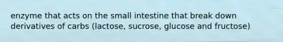 enzyme that acts on the small intestine that break down derivatives of carbs (lactose, sucrose, glucose and fructose)