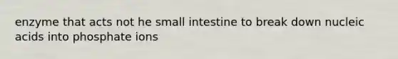 enzyme that acts not he small intestine to break down nucleic acids into phosphate ions