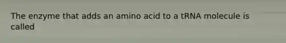 The enzyme that adds an amino acid to a tRNA molecule is called