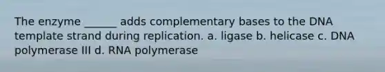 The enzyme ______ adds complementary bases to the DNA template strand during replication. a. ligase b. helicase c. DNA polymerase III d. RNA polymerase