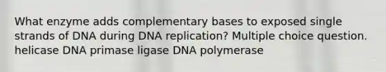 What enzyme adds complementary bases to exposed single strands of DNA during DNA replication? Multiple choice question. helicase DNA primase ligase DNA polymerase