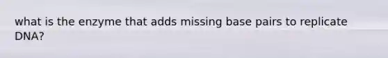 what is the enzyme that adds missing base pairs to replicate DNA?