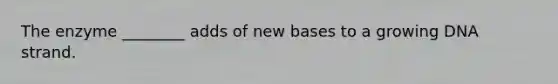 The enzyme ________ adds of new bases to a growing DNA strand.