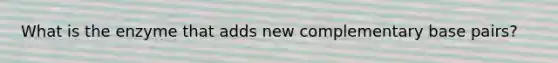 What is the enzyme that adds new complementary base pairs?