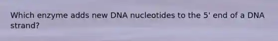 Which enzyme adds new DNA nucleotides to the 5' end of a DNA strand?