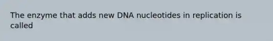 The enzyme that adds new DNA nucleotides in replication is called