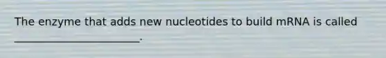 The enzyme that adds new nucleotides to build mRNA is called _______________________.