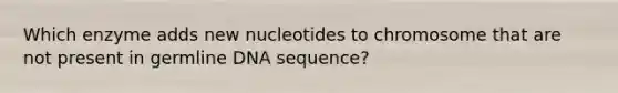 Which enzyme adds new nucleotides to chromosome that are not present in germline DNA sequence?