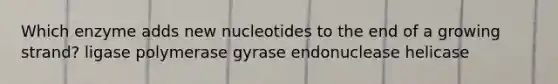 Which enzyme adds new nucleotides to the end of a growing strand? ligase polymerase gyrase endonuclease helicase