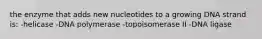 the enzyme that adds new nucleotides to a growing DNA strand is: -helicase -DNA polymerase -topoisomerase II -DNA ligase