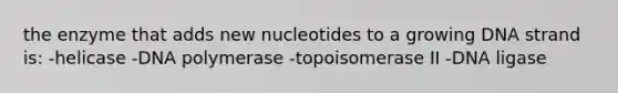 the enzyme that adds new nucleotides to a growing DNA strand is: -helicase -DNA polymerase -topoisomerase II -DNA ligase