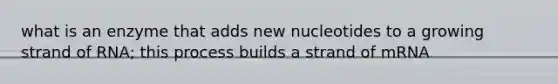 what is an enzyme that adds new nucleotides to a growing strand of RNA; this process builds a strand of mRNA