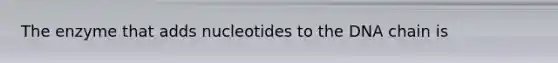 The enzyme that adds nucleotides to the DNA chain is