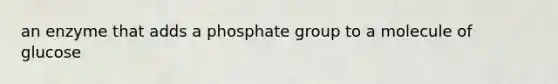 an enzyme that adds a phosphate group to a molecule of glucose