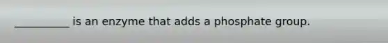 __________ is an enzyme that adds a phosphate group.
