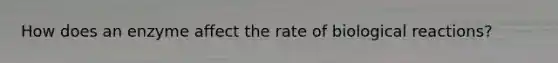 How does an enzyme affect the rate of biological reactions?