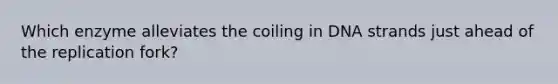 Which enzyme alleviates the coiling in DNA strands just ahead of the replication fork?