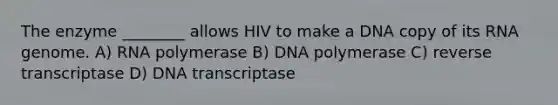 The enzyme ________ allows HIV to make a DNA copy of its RNA genome. A) RNA polymerase B) DNA polymerase C) reverse transcriptase D) DNA transcriptase