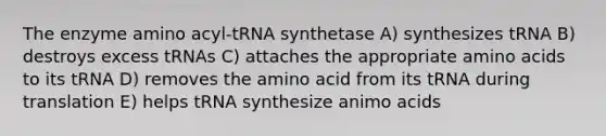 The enzyme amino acyl-tRNA synthetase A) synthesizes tRNA B) destroys excess tRNAs C) attaches the appropriate <a href='https://www.questionai.com/knowledge/k9gb720LCl-amino-acids' class='anchor-knowledge'>amino acids</a> to its tRNA D) removes the amino acid from its tRNA during translation E) helps tRNA synthesize animo acids