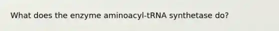 What does the enzyme aminoacyl-tRNA synthetase do?