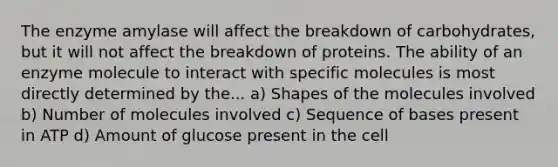 The enzyme amylase will affect the breakdown of carbohydrates, but it will not affect the breakdown of proteins. The ability of an enzyme molecule to interact with specific molecules is most directly determined by the... a) Shapes of the molecules involved b) Number of molecules involved c) Sequence of bases present in ATP d) Amount of glucose present in the cell