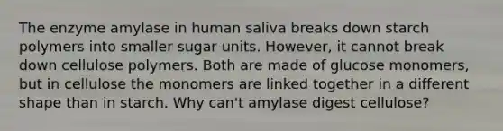 The enzyme amylase in human saliva breaks down starch polymers into smaller sugar units. However, it cannot break down cellulose polymers. Both are made of glucose monomers, but in cellulose the monomers are linked together in a different shape than in starch. Why can't amylase digest cellulose?