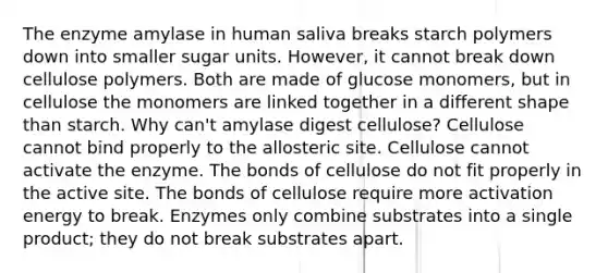 The enzyme amylase in human saliva breaks starch polymers down into smaller sugar units. However, it cannot break down cellulose polymers. Both are made of glucose monomers, but in cellulose the monomers are linked together in a different shape than starch. Why can't amylase digest cellulose? Cellulose cannot bind properly to the allosteric site. Cellulose cannot activate the enzyme. The bonds of cellulose do not fit properly in the active site. The bonds of cellulose require more activation energy to break. Enzymes only combine substrates into a single product; they do not break substrates apart.