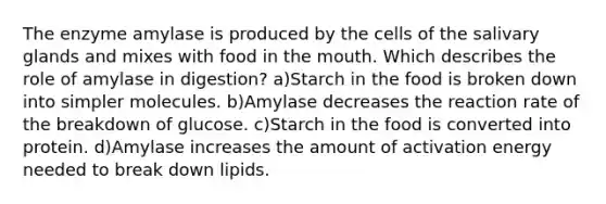 The enzyme amylase is produced by the cells of the salivary glands and mixes with food in the mouth. Which describes the role of amylase in digestion? a)Starch in the food is broken down into simpler molecules. b)Amylase decreases the reaction rate of the breakdown of glucose. c)Starch in the food is converted into protein. d)Amylase increases the amount of activation energy needed to break down lipids.