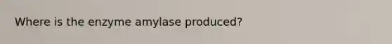 Where is the enzyme amylase produced?