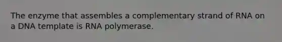 The enzyme that assembles a complementary strand of RNA on a DNA template is RNA polymerase.