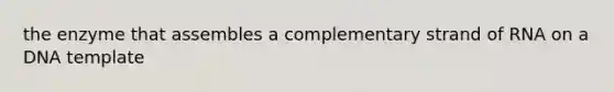the enzyme that assembles a complementary strand of RNA on a DNA template